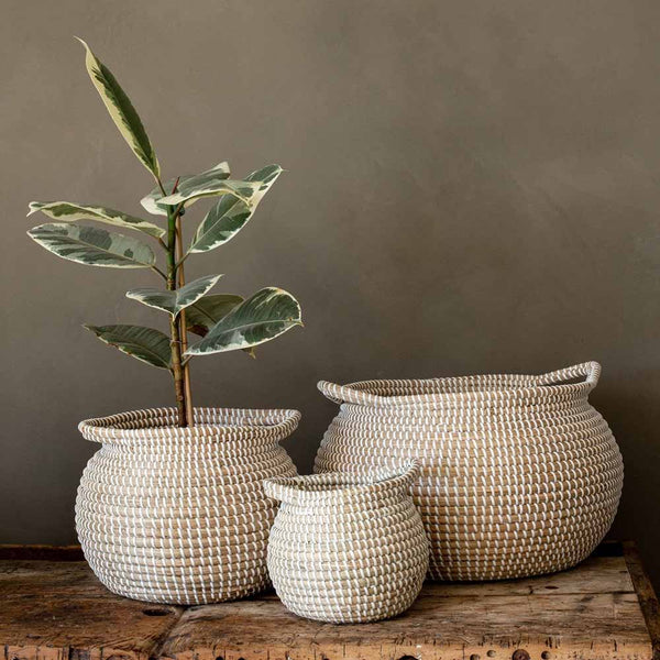 Natural Seagrass Basket | Creatd Interiors